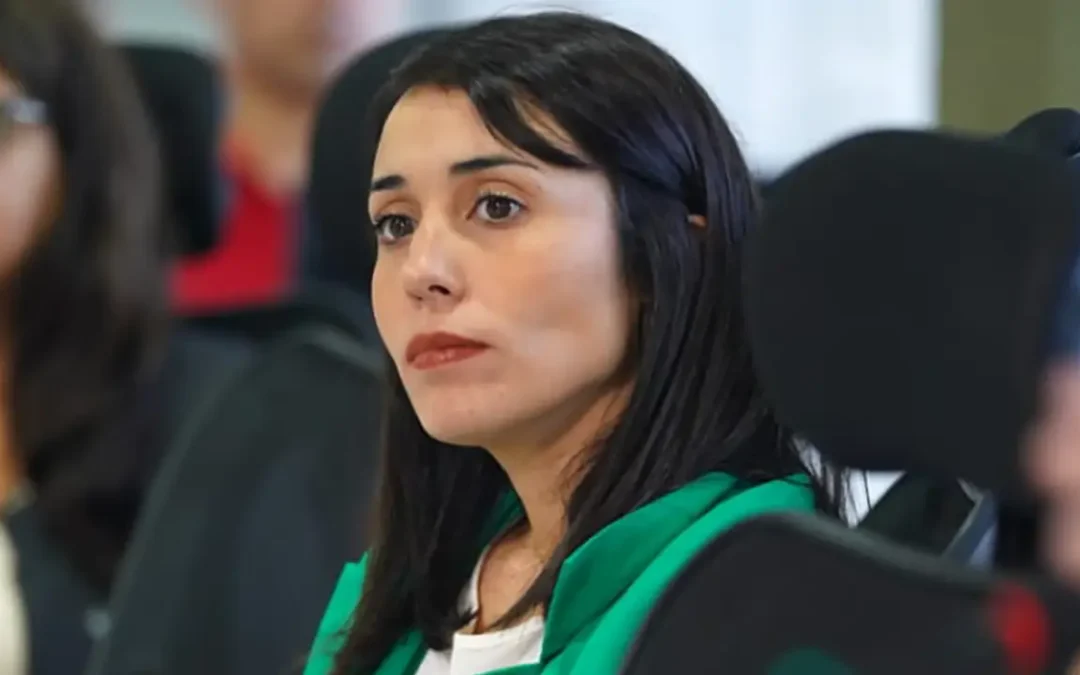 Monte de Oca: «Ushuaia crece sin orden ni planificación»