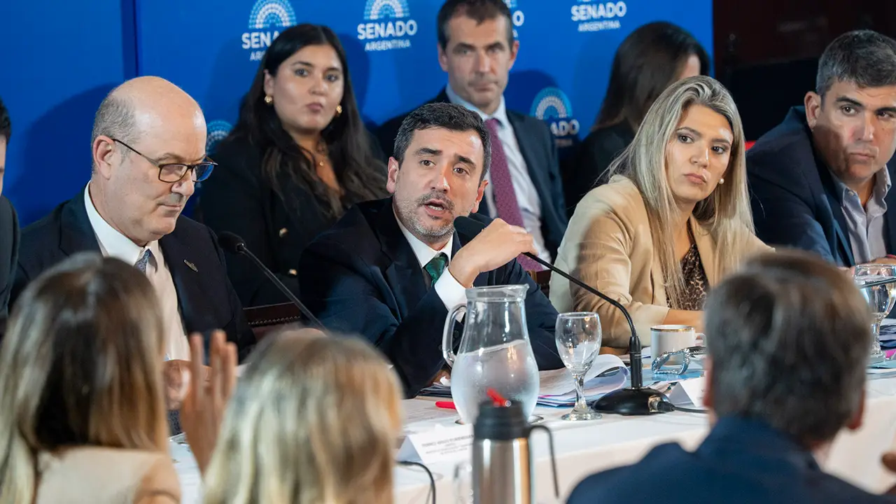 Senador Agustín Coto. Ministro Federico Sturzenegger